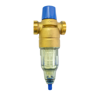 Механічний фільтр з ручним промиванням BWT Europafilter RS (RF)  ¾", 1", 1¼" 